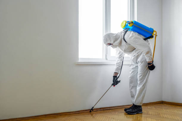 Best Local Pest Control Services  in Winona, MN