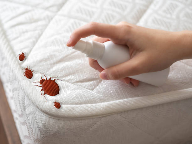 Best Pest Control Treatment  in Winona, MN