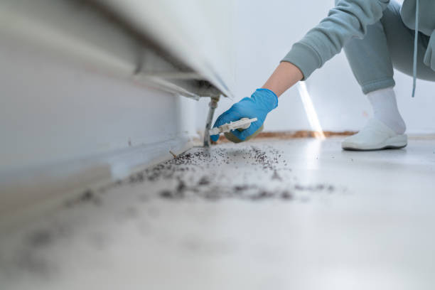 Reliable Winona, MN Pest Control Solutions